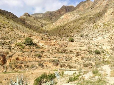 Cortijo El Molino Apartamento"El Balconcito" Níjar Екстериор снимка